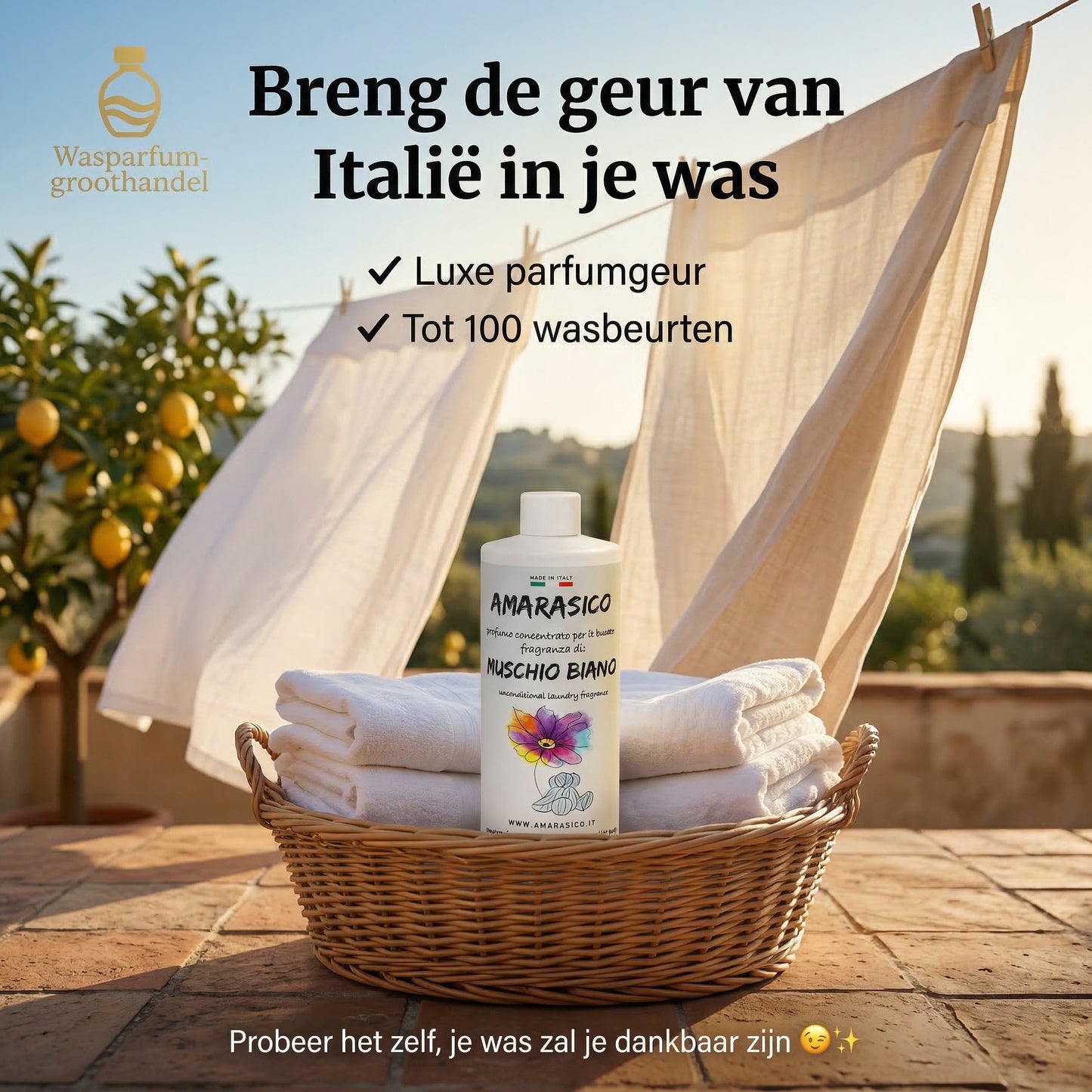 Amarasico Muschio Bianco washing perfume